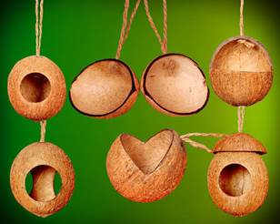 Coconut shell bird feeder 