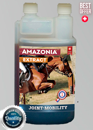 AMAZONIA EXTRACT