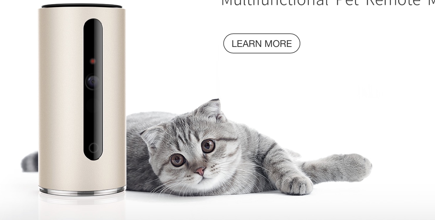 Pet remote monitor 